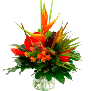 Tropical bouquet 1.0 Tropich bouquet 1.0