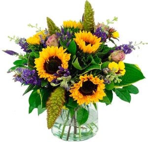 sunflower purple 1 sunflower purple 1