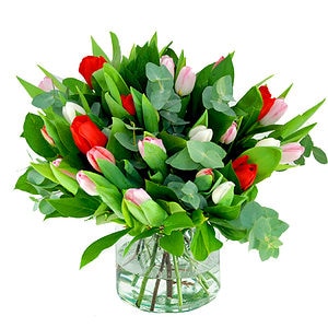 tulip-bouquet-red-pink-white .png Voorjaarsboeket tulpen rood-roze-wit