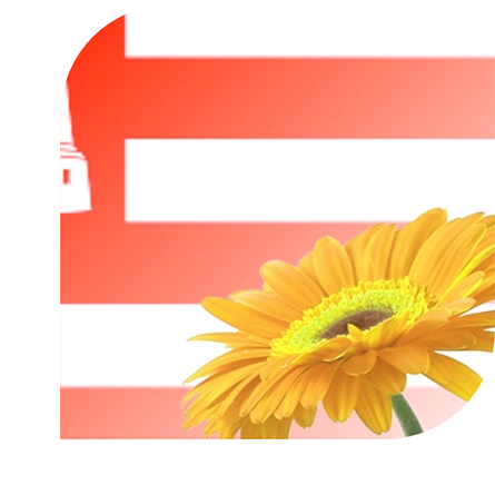 Bloemen bezorgen Alkmaar