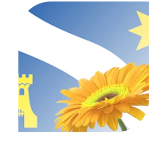 Bloemen bezorgen Alphen aan den rijn