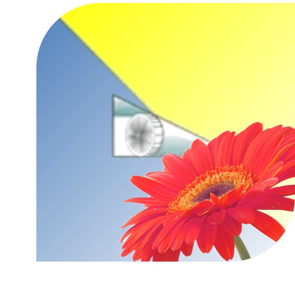 Bloemen bezorgen Beekbergen