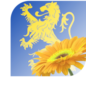 Bloemen bezorgen Leeuwarden