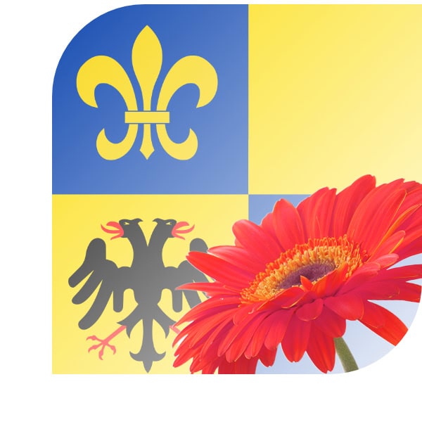 Bloemen Bezorgen Meerssen