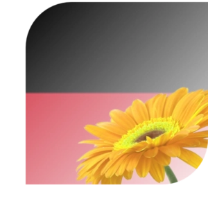 Bloemen bezorgen Nijmegen