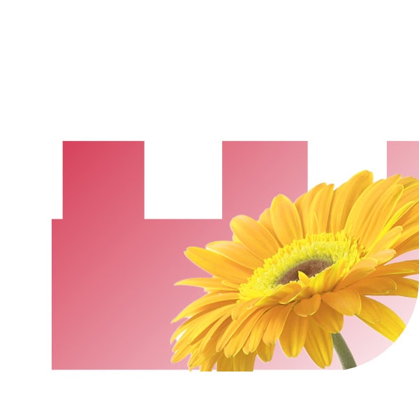 Bloemen bezorgen Rhenen