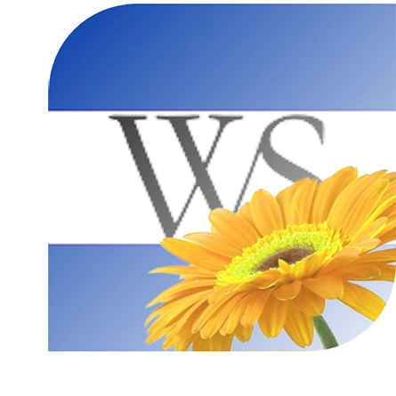 Heldere gele bloem in Weesp met blauwe lucht op de achtergrond, perfect voor bloemisten en tuinliefhebbers.