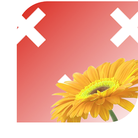 Bloemen bezorgen Breda