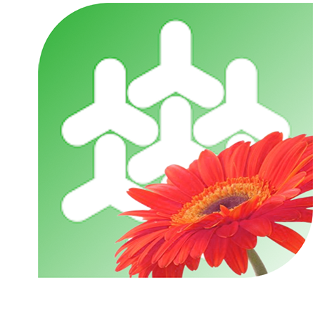 Boeket bezorgen 's Dronten