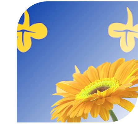 Bloemen bezorgen Zoeterwoude