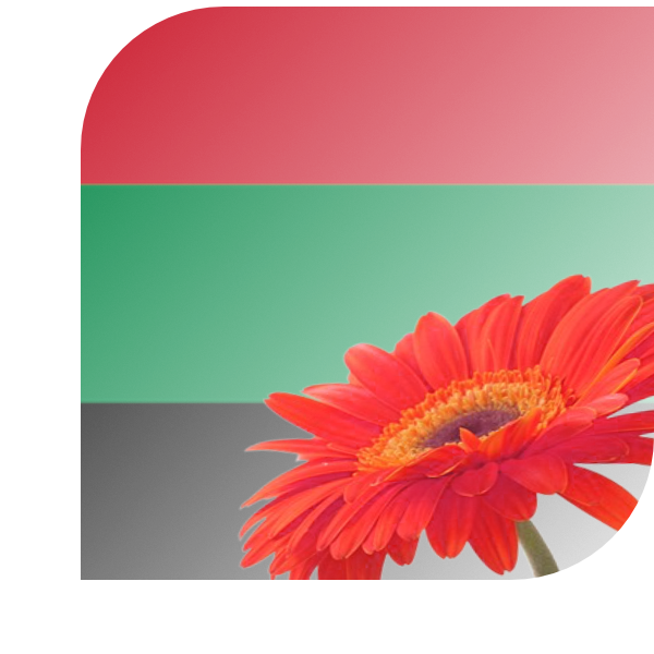 Bloemen bezorgen Aalsmeer