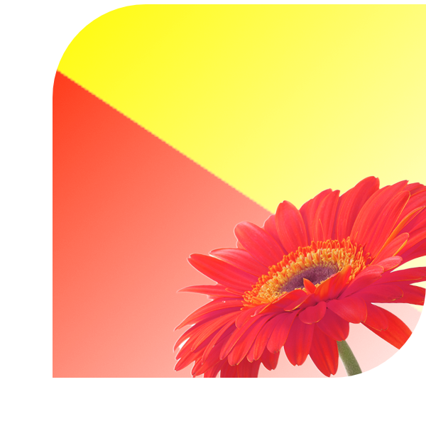 Bloemen bezorgen Valkenburg