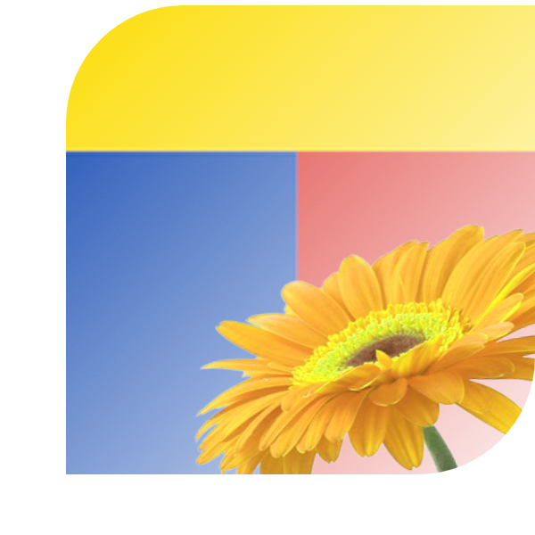 Bloemen bezorgen Maasbree