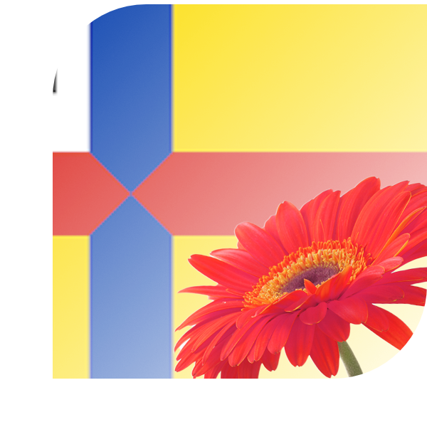 Bloemen Bezorgen Opeinde