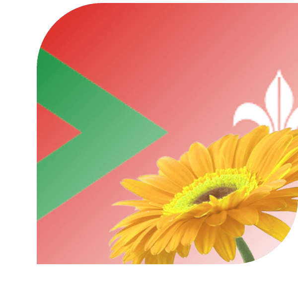 Bloemen bezorgen Rijsbergen