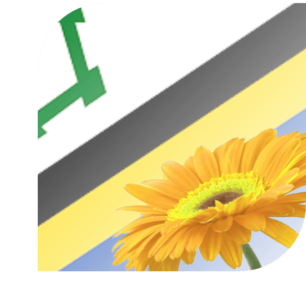Bloemen bezorgen Rilland