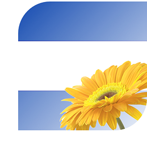 Bloemen bezorgen Almelo