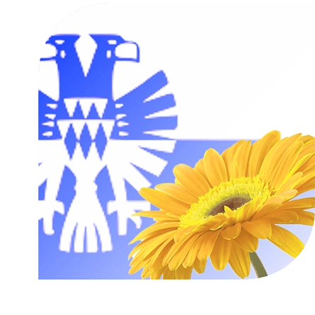 bloemen bezorgen Arnhem