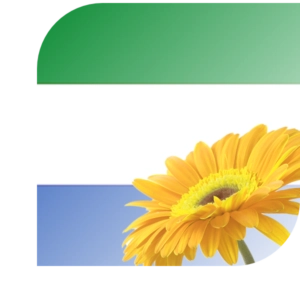 Bloemen bezorgen Benthuizen