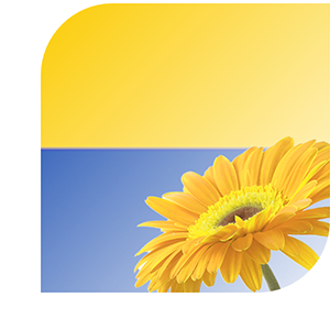 Bloemen bezorgen Bodegraven