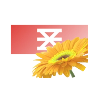 bloemen bezorgen Enschede