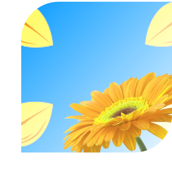 Bloemen Bezorgen Hilversum