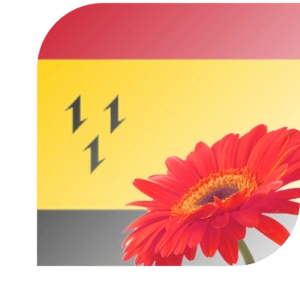 Bloemen bezorgen Purmerend