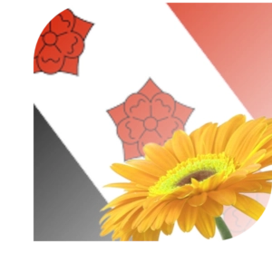 bloemen bezorgen Roosendaal