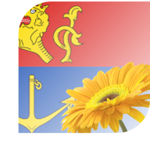 Bloemen Bezorgen De Wilgen