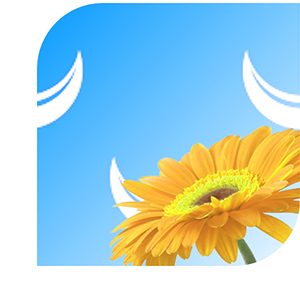 Boeket bezorgen Wassenaar