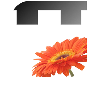 Boeket bezorgen zeist