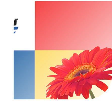 Bloemen bezorgen Almere