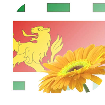 Bloemen bezorgen Barendrecht