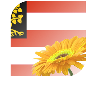 Bloemen bezorgen Den Bosch