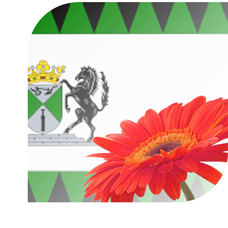 Bloemen bezorgen Emmen