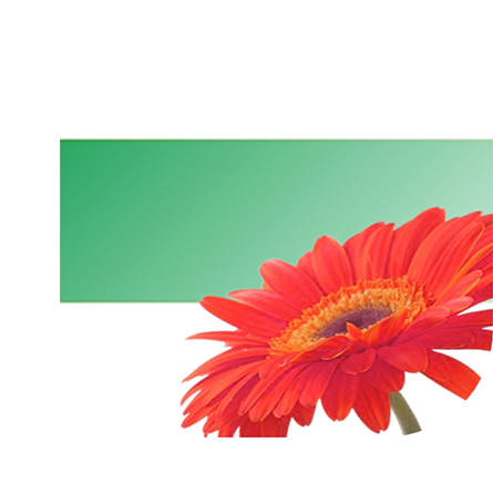 Bloemen bezorgen Groningen