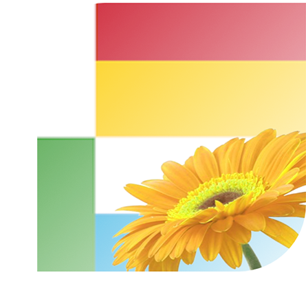 Bloemen Bezorgen Oss