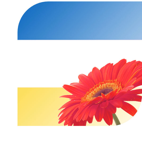 Bloemen bezorgen Spijkenisse