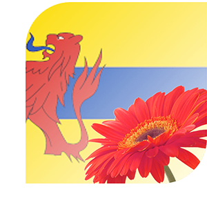 Bloemen bezorgen De Meern