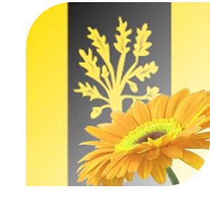 Bloemen bezorgen Waalwijk