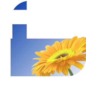 Bloemen bezorgen Warmond