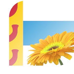 Bloemen bezorgen Weert