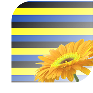 Bloemen bezorgen Zaandam