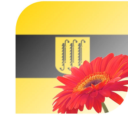 Bloemen bezorgen Zwijndrecht