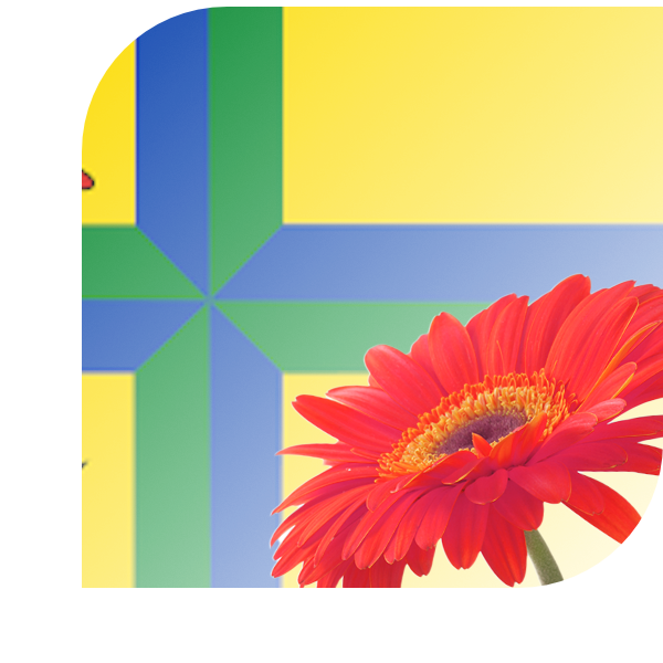 Bloemen bezorgen Werkendam