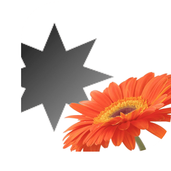 Bloemen bezorgen wateringen