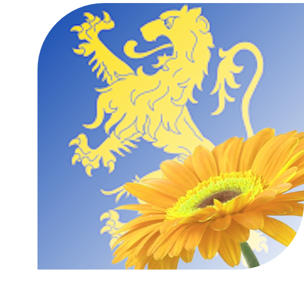 Bloemen bezorgen Leeuwarden