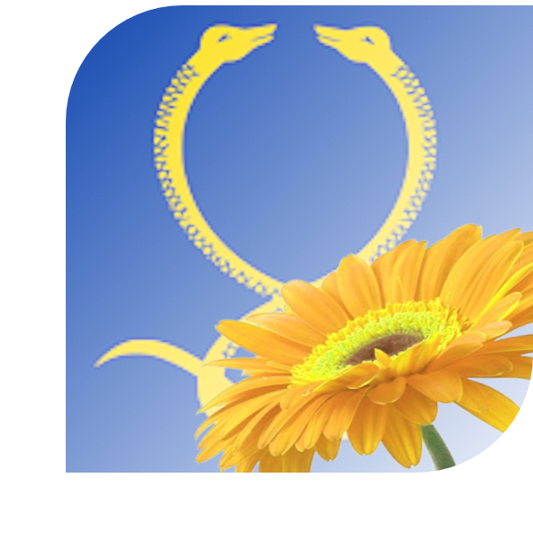 Bloemen Bezorgen Nootdorp