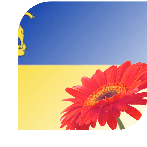 Bloemen Bezorgen IJmuiden