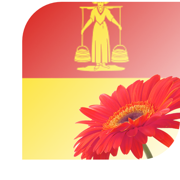 Bloemen Bezorgen Huizen